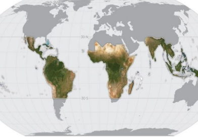 A Noruega está financiando um conjunto de dados de satélite exclusivo sobre as florestas tropicais do mundo.