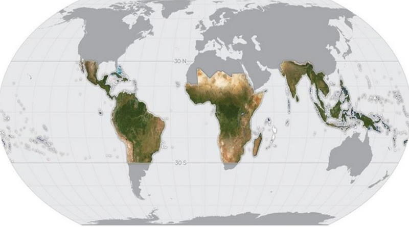 A Noruega está financiando um conjunto de dados de satélite exclusivo sobre as florestas tropicais do mundo.